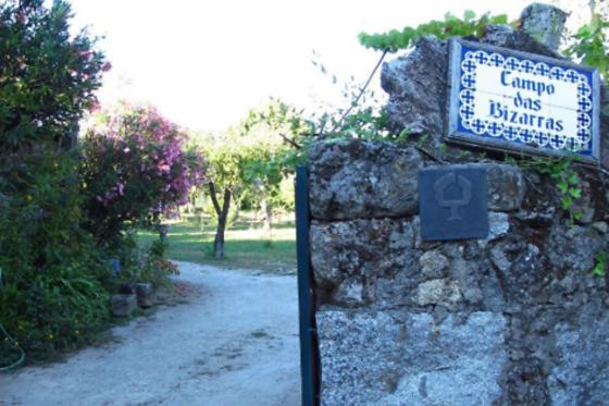Casa Campo Das Bizarras Castro Daire Εξωτερικό φωτογραφία
