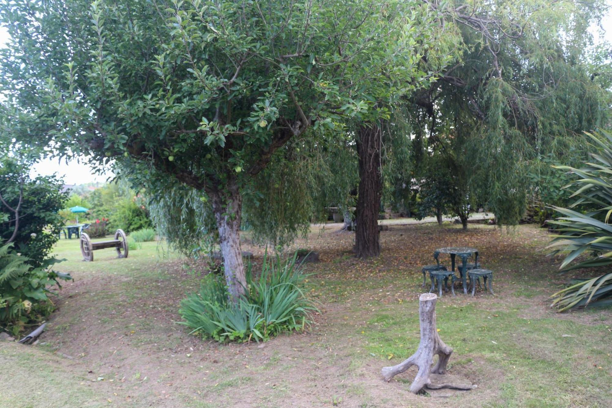 Casa Campo Das Bizarras Castro Daire Εξωτερικό φωτογραφία